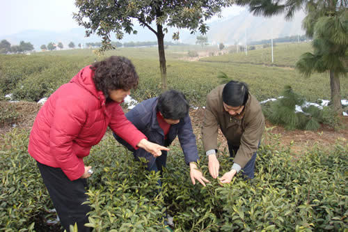 魯成銀副所長（右）查看災情