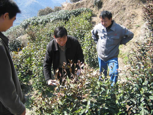 專家現(xiàn)場技術(shù)指導(dǎo)