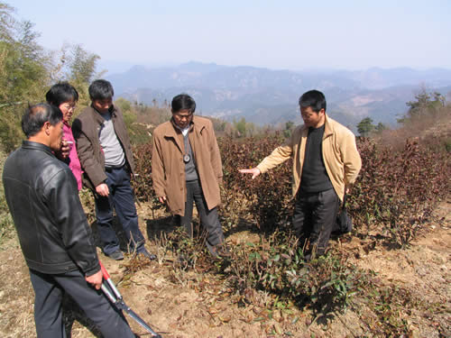 專家現(xiàn)場(chǎng)指導(dǎo)